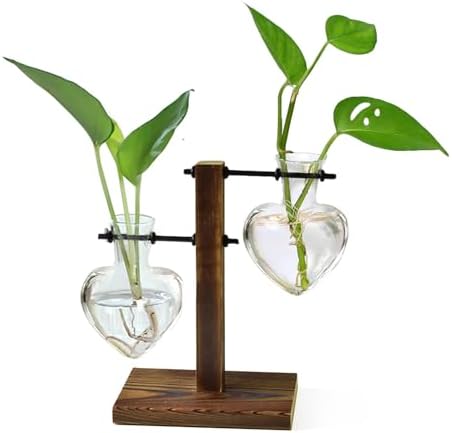 XXXFLOWER Plant Propagation Station Terrarium Wooden Stand 2 Love Bulb Vase by XXXFLOWER