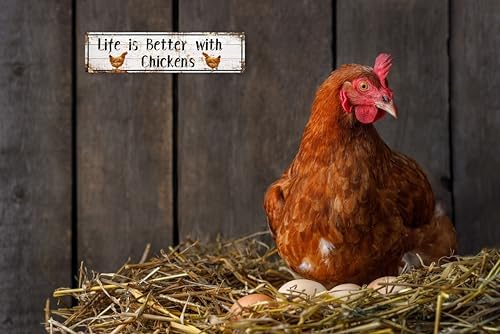 AWISZZZ Metal Tin Signs Life is Better with Chickens Signs Farm Chickens Door Accessories Wall Decor Vintage Retro Art Plaque for Bedroom Kitchen Garden Pub Club Coffee Hanging Decor 4x16 In - Image 5