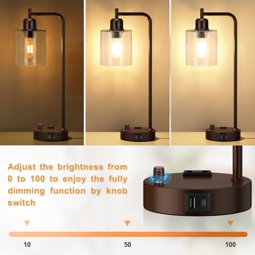 Innqoo Brown Industrial Bedside Table Lamp for Bedroom - Nightstand Lamps with USB C Charging Port, Fully Dimmable Black Ports and Outlets, Small Desk Glass Shade Office Living Room - Image 2