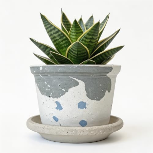 2.6 Inch Mini Ceramic Planter Pot with Drainage Hole and Saucer, Round Flower Pot for Indoor Plants, Cactus Herbs Windowsill Decor(White&Grey) by DecoVlog