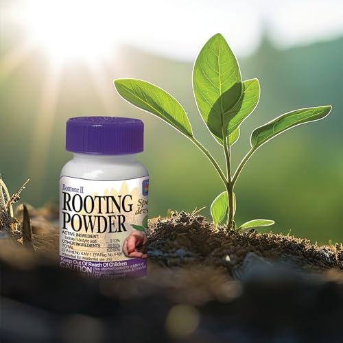 Bonide Bontone II Rooting Powder, 1.25 oz Ready-to-Use Dust for Houseplants and Transplants Speeds Root Development (Pack of 4) - Image 6