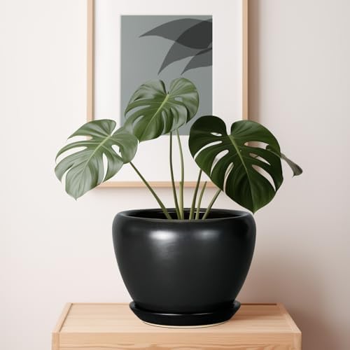 Ceramicfor Ceramic Pot for Plants, 10 Inch Plant Pot, Black - Image 7