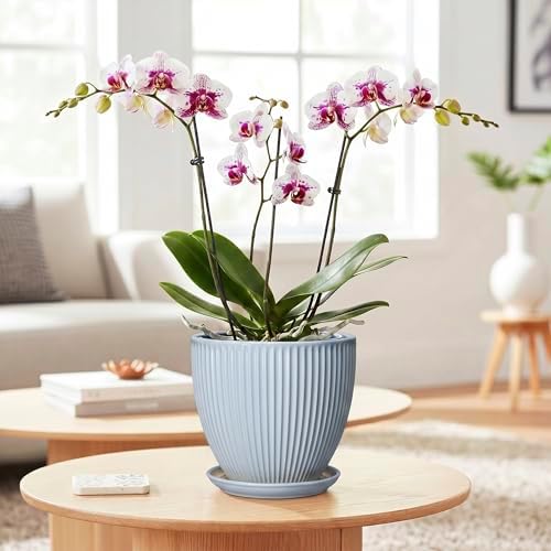 Ceramic Flower Pots, 6 Inch Plant Pot for Indoor Plants, Modern Ceramic Planter with Drainage Hole and Saucer, Small Orchid Pots, Home Decor, Gifts for Plant Lovers Women Men, Light Blue - Image 3