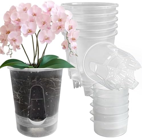 Cdd's Path Upgraded 5-Pack 6 Inch Naked Root Planter Self Watering Pots Set, Plant Pots with Holes for Indoor/Outdoor Plants with Watering Hole/Reservoir and Air Pipes, Clear by Unknown