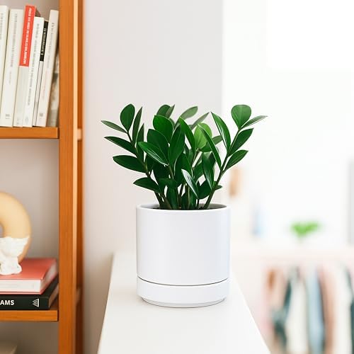 D'vine Dev 4.7 Inch Ceramic Planter Pot, White, 94-O-B-1 - Image 2