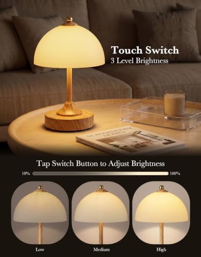 ROTTOGOON Cordless Table Lamp, 5200mAh Wood Grain Rechargeable Battery Operated Lamp, 3-Way Dimmable Touch Lamps, Small Glass Bedside Nightstand Light for Bedroom Dining Table Living Room - Image 2