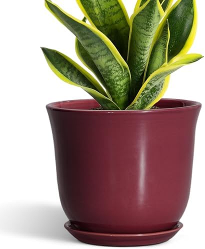 Ceramic Planter, 8 Inch Plant Pot with Drainage Hole, Red by SUNPOTFOR