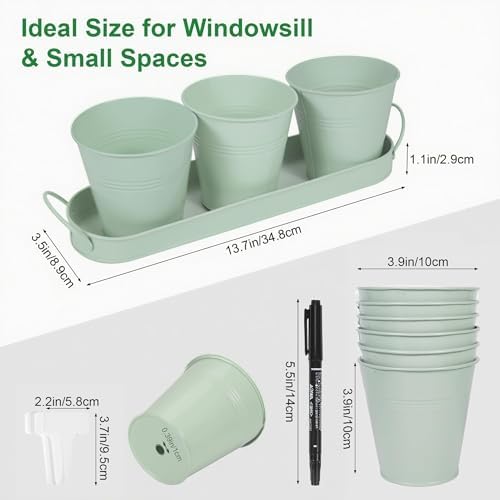 Herb Garden Planter Indoor Kit – 6 Metal Pots with 2 Trays for Windowsill & Kitchen Counter – Modern Decorative Indoor Planters for Herbs, Succulents & Small Plants, Mint - Image 3