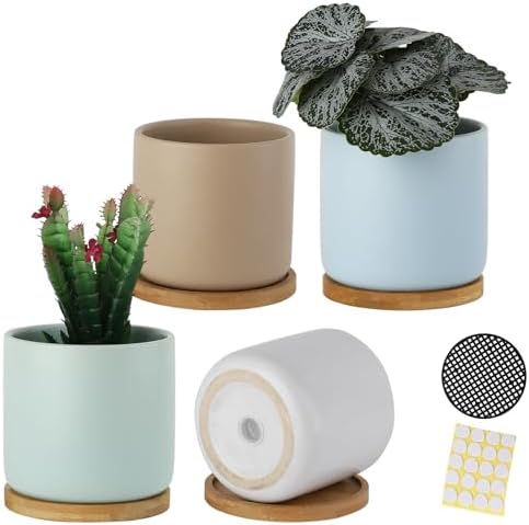 4 Inch Planters with Drainage Hole and Saucer, Small Ceramic Cylinder Plant Pot with Trays for Succulent, Aloe, Cactus & Herbs, Morandi Colors, Set of 4 by BABALIU