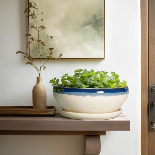 SQOWL Bonsai Pots, 10 Inch Ceramic Pots for Succulents, Blue-Beige - Image 6