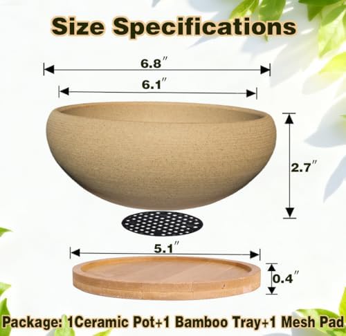 MUZHI 6 inch Succulent Pot - Unglazed Ceramic Bonsai Pot with Bamboo Tray, Rustic Pottery Cactus Planter with Drainage Hole Indoor Outdoor - Image 2