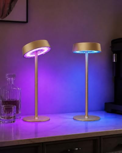 EZVALO Cordless Ambient Lighting, Rechargeable Table Lamp, Battery Operated by EZVALO
