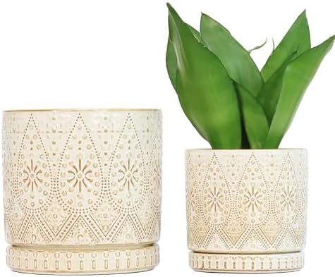 8 Inch + 6 Inch Indoor Plant Pot with Drainage Holes and Saucers, Ceramic Planter for Plants, Succulent Orchid Flower Pots by YFFSRJDJ