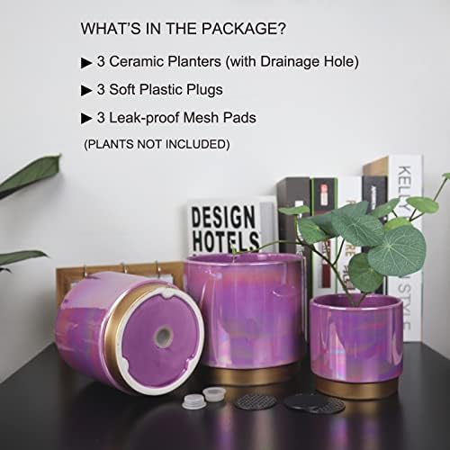 Gepege Ceramic Plant Pots for Indoor Plants, Planters with Drainage Holes - Image 3