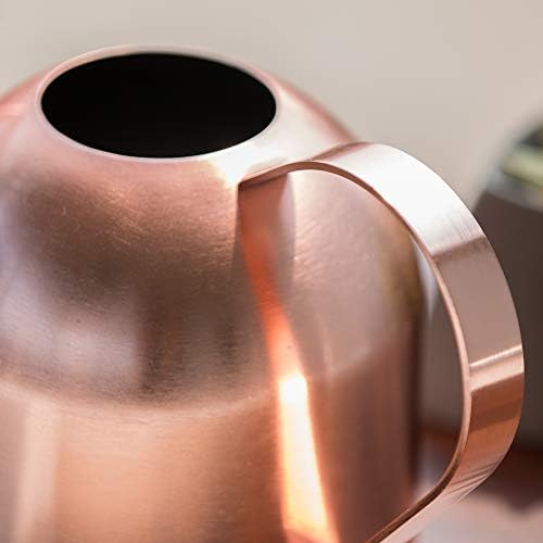 Watering Can for Indoor Plants, 30oz Long Spout Stainless Steel - Image 6