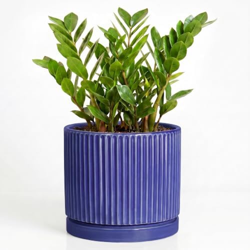 Ceramic Plant Pots 10 Inch, Round Pots for Plants with Tray, Blue by Unknown