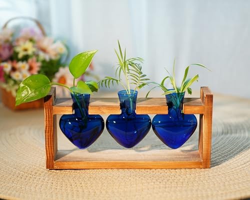 Kingbuy 3-Heart Plant Terrarium Kit with Vintage Wood Stand - Stained Glass Vase Propagation Station, Wall-Mounted & Tabletop Indoor Decor for Home Kitchen Wedding Gift, Blue - Image 5