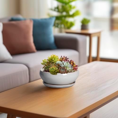 SQOWL Succulent Planters 6 Inch - Ceramic Bonsai Pots with Drainage Hole and Saucer, Shallow Planter for Indoor Plants Outdoor, Round Ceramic Pots for Plants Cactus, Room Decor, Garden Gifts, Gray - Image 6