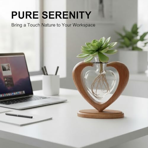 Plant Propagation Station, Heart Glass Vase, Solid Wooden Stand - Image 3