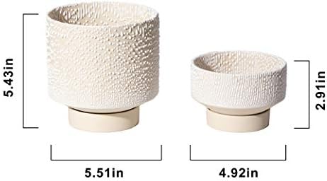 UBEE Planter Ceramic Flower Pot for Indoor Plants | 5.5 inch + 4.9 inch Plant Pots with Drainage Hole and Saucer for Aloe, Snake Plants, Pothos, Orchid, Beige with White Glaze Dot - Image 6