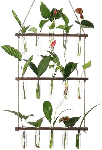 YIBOT Plant Propagation Stations with Wooden Stand 15 Glass Test Tubes Vase by YIBOT