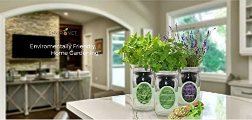 Hydroponic Herb Growing Kit, Self-Watering Mason Jar Herb Garden Starter Kit Indoor, Window Herbs Garden, Grow Your Own Herbs from Organic Seeds (Thyme) - Image 4