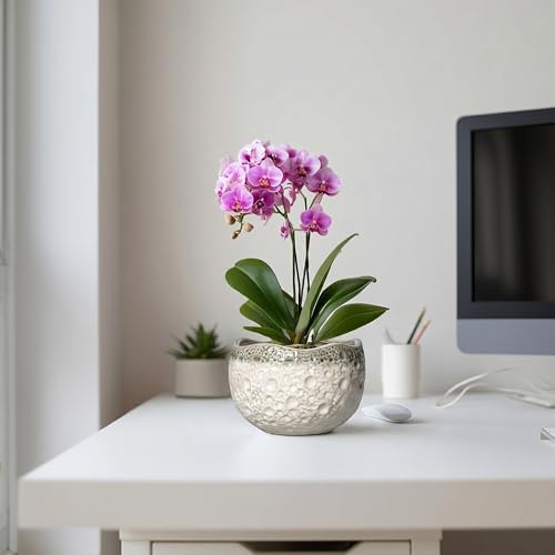 Ceramic Pots for Plants, 6 Inch Plant Pot Indoor, Beige-Grey - Image 5