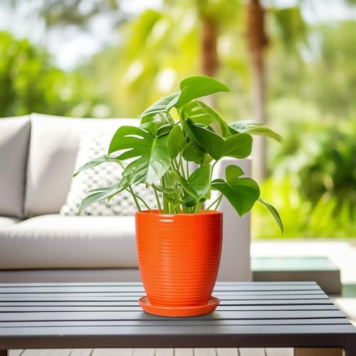 8 Inch Plant Pot, Ceramic Planters for Plants with Drainage and Saucer, Orange - Image 6