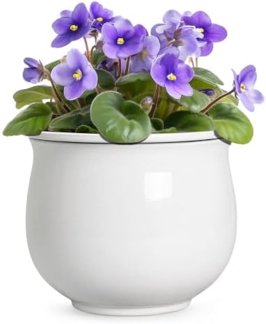 Ceramic African Violet Pot, 8 Inch Self Watering Planter, White by Teagas