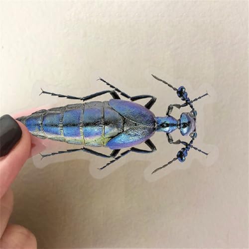 50PCS Cartoon Insects Stickers Aesthetic PET Transparent Insect Decal Waterproof Decorative Decals for Scrapbook DIY Crafts Album Bullet Journal Planner Water Bottles Laptop Phone (Insect) - Image 3