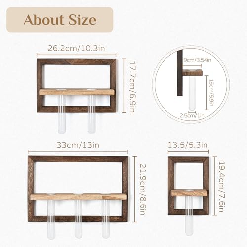 Wall Propagation Station Set with Glass Tubes - Image 4