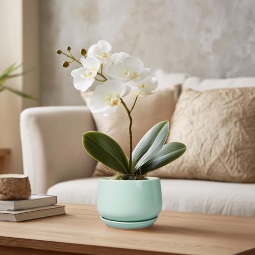 G EPGardening Ceramic Plants Pots - 4 inch Plant Pots Indoor Outdoor, Small Succulent Planter with Drainage Hole & Tray, Modern Flower Pot, Round Decorative Planters, Office Decor, Garden Gift, Green - Image 5