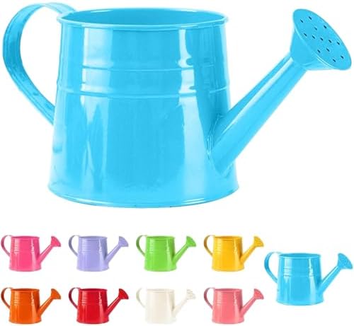 Watering Can Gardening Tool Accessories, Sprinkling Can 1L Metal Flower Garden Watering Can for Outdoor Indoor Plants Lawn Garden (Blue) by Unknown