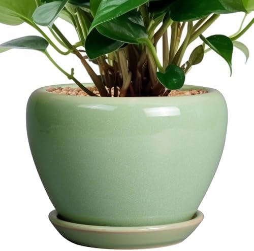 Ceramicfor 6 Inch Plant Pot - Ceramic Planter for Indoor Plants Round Planter Outdoor Plant Pot with Drainage Hole and Saucer Modern Flower Pot for Succulent Garden Green by Ceramicfor