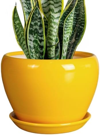 Ceramicfor 8 Inch Plant Pot - Glaze Modern Round Ceramic Planter for Indoor Outdoor Plants with Drainage Hole and Saucer for Home Patio Room Office Decor, Yellow by Ceramicfor