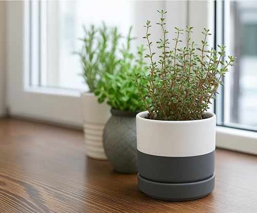 D'vine Dev 2-Pack Ceramic Pots with Saucers, White/Grey, 4.7 in, 94-V-B-6 - Image 6