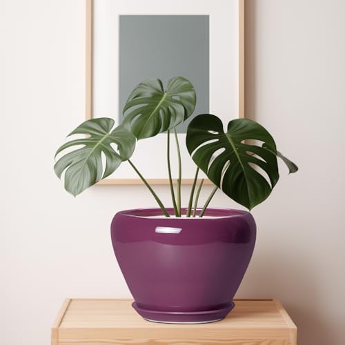 Ceramicfor 10 Inch Plant Pot - Ceramic Planter with Drainage Hole and Saucer, Round Modern Flower Pot for Indoor Outdoor Plants, Housewarming Gift, Home Garden Decor, Purple - Image 7