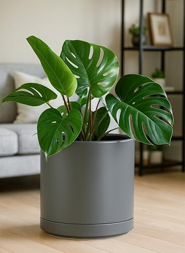 D'vine Dev 12 Inch Ceramic Planter Pot, Grey, 94-O-F-3 - Image 5