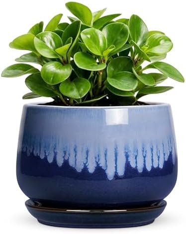 Ceramic Flower Pots, 6 Inch Plant Pot Indoor with Saucer, Deep Blue by Fivepot