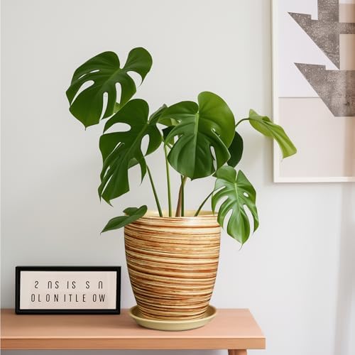 8 Inch Plant Pot, Ceramic Planter with Drainage Hole and Saucer Large Flower Pot for Home Patio Garden Office, Yellow - Image 2