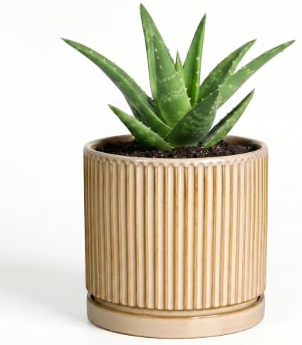 Ceramic Plant Pot, 4 Inch Pots for Plants with Saucer, Beige by Unknown