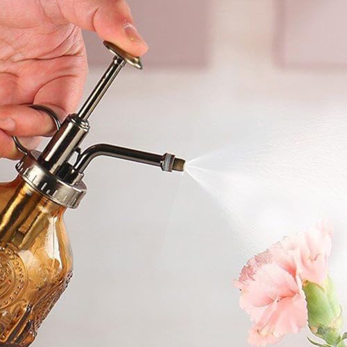 Spray Bottle for Plants, Plant Mister Spray Bottle, Glass Plant Mister Spray Bottle, Embossed Vintage Glass Watering Can, Succulent Watering Bottle with Top Pump for Outdoor (U) - Image 2