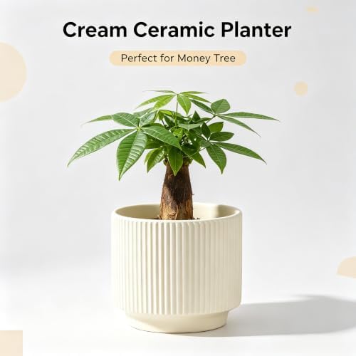 Ceramic Pots 5.1 Inch Fluted Beige Ceramic Planters Round Flower Pots with Drainage Hole for Desk Modern Office Living Room Table Shelf Home Indoor Outdoor Decor(Beige, Medium) - Image 4