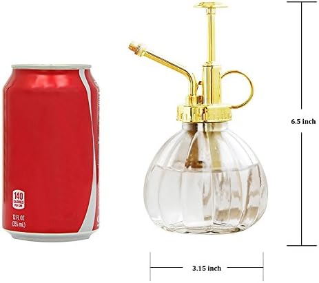 Glass Plant Mister Spray Bottle, Fine Mist for Indoor Plants 6.7oz Gold - Image 2