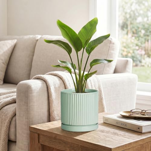 Ceramic Flower Pots, 6 Inch Plant Pot, Round Planter, Mint Green - Image 5