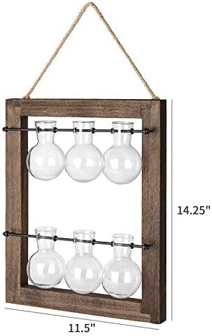 Mkono Plant Propagation Station, Wall Hanging 2-Layer Glass Terrarium Vases - Image 6