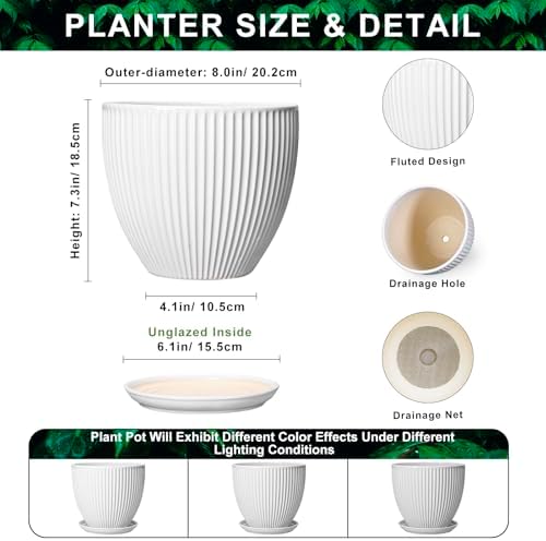 8 Inch Plant Pot, Ceramic Planters for Indoor Plants, Round Pots for Plants with Drainage Hole and Saucer, Modern Decorative Flower Pots, Office Bedroom Decor, Gifts for Plant Lovers, White - Image 2