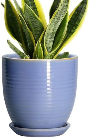 6 Inch Ceramic Pots for Plants - Ceramic Plant Pots with Drainage Hole and Saucer, Flower Pot for Indoor Plants, Round Modern Planter, Apartment Decor, Housewarming Gifts, Blue-Purple by EPFamily