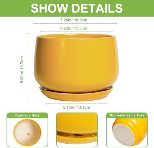 G EPGardening Ceramic Pots for Plants - 7 Inch Plant Pot with Drainage Hole and Saucer, Modern Ceramic Planter for Indoor Outdoor, Round Flower Planter, Gifts for Plants Lovers, Home Decor, Yellow - Image 3