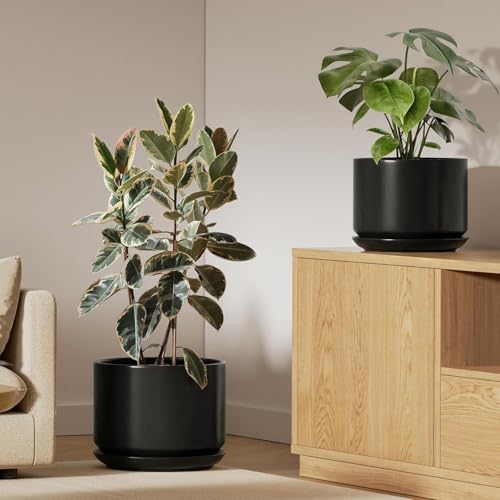 LE TAUCI Ceramic Pots for Plants, Set of 2, 10 + 12 Inch Plant Pot with Drainage Hole and Saucer, Durable & Stylish Planters for Indoor Plants, Elevate Your Home’s Aesthetic, Black by LETAUCI